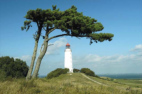 Insel